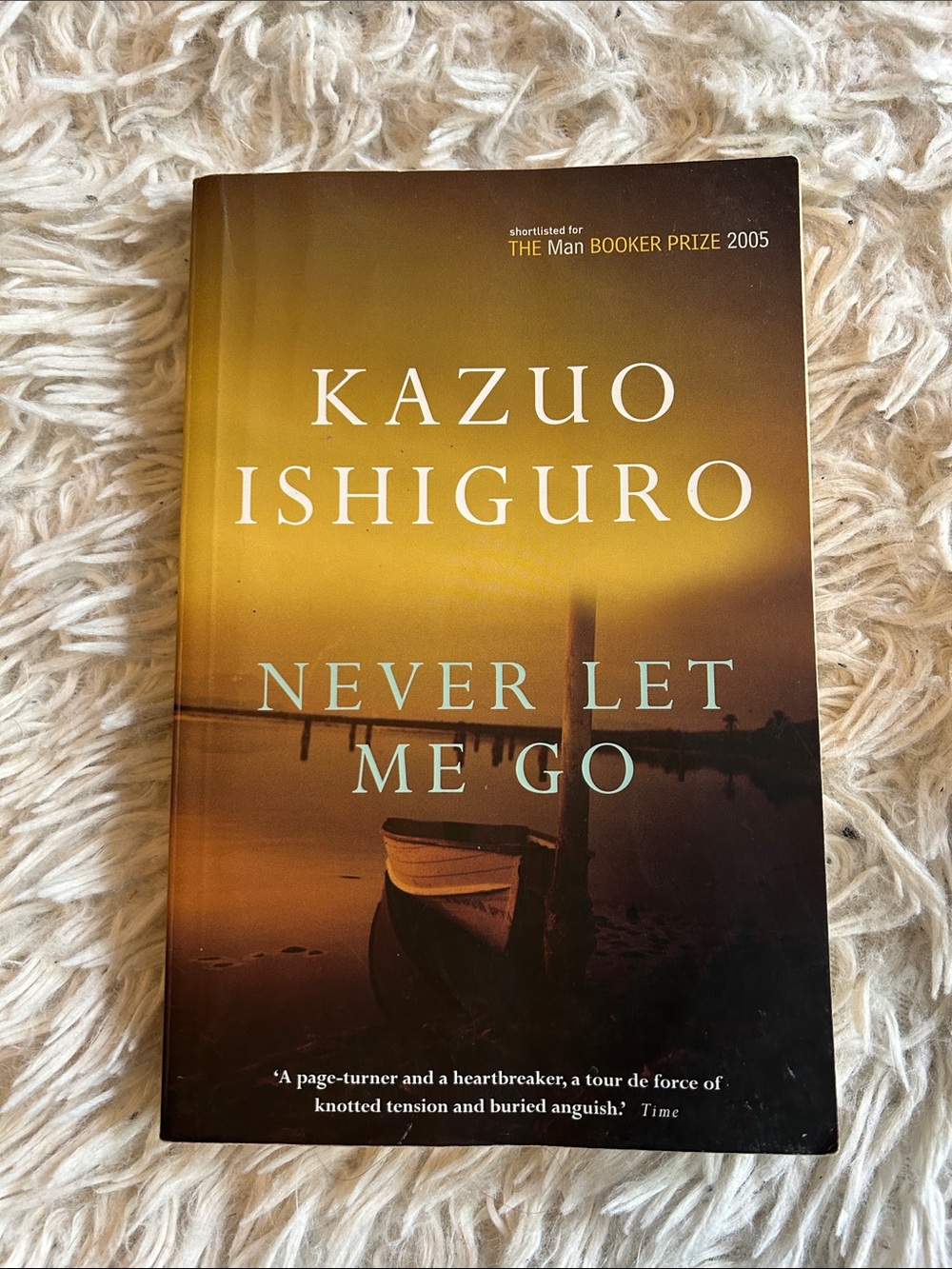 Kazuo Ishiguro "Never Let Me Go" Paperback - Sunset Cover (Brown/Gold)